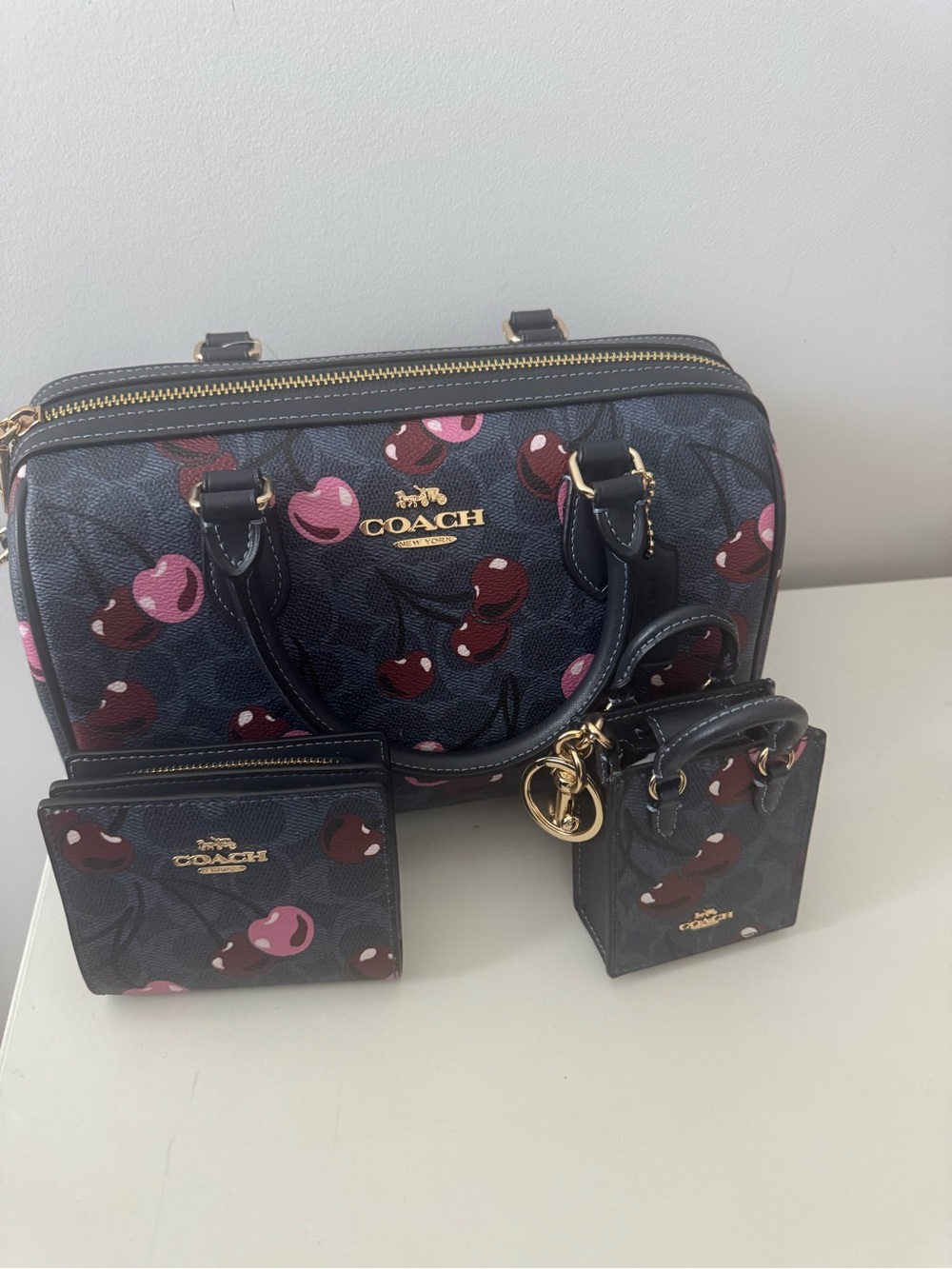 NWT Coach Rowan Satchel Cherry Signature Canvas | NWOT Snap Wallet & Charm - Picture 2 of 10